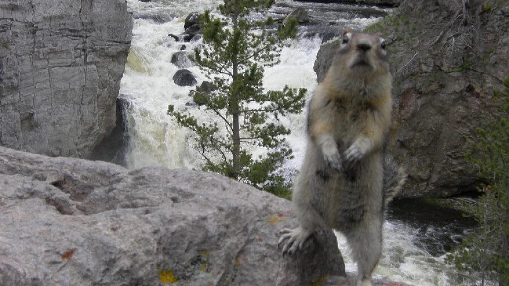 west usa: have a nice day!