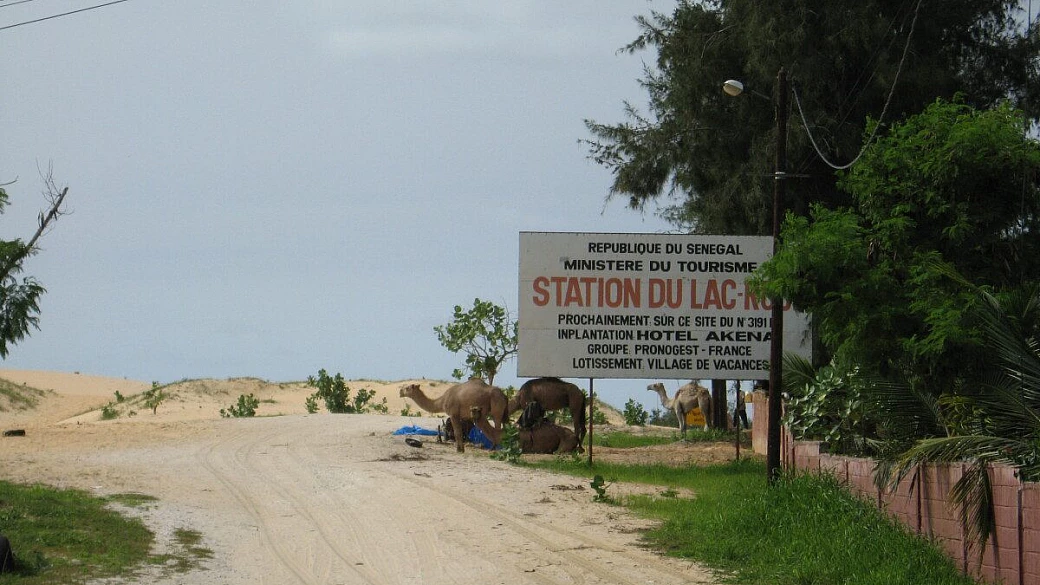 i sogni son desideri