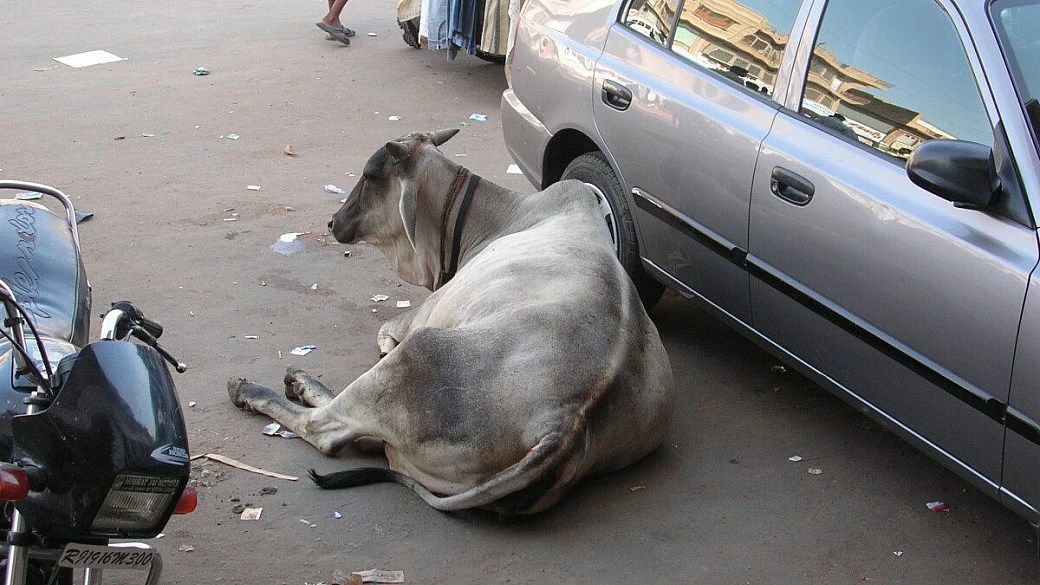 indimenticabile rajasthan
