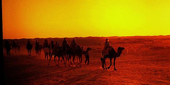 verso il tramonto nel deserto del thar