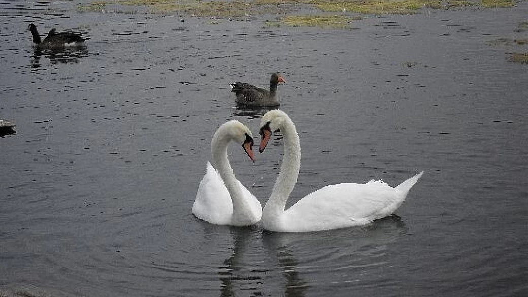 inghilterra sud occidentale 2