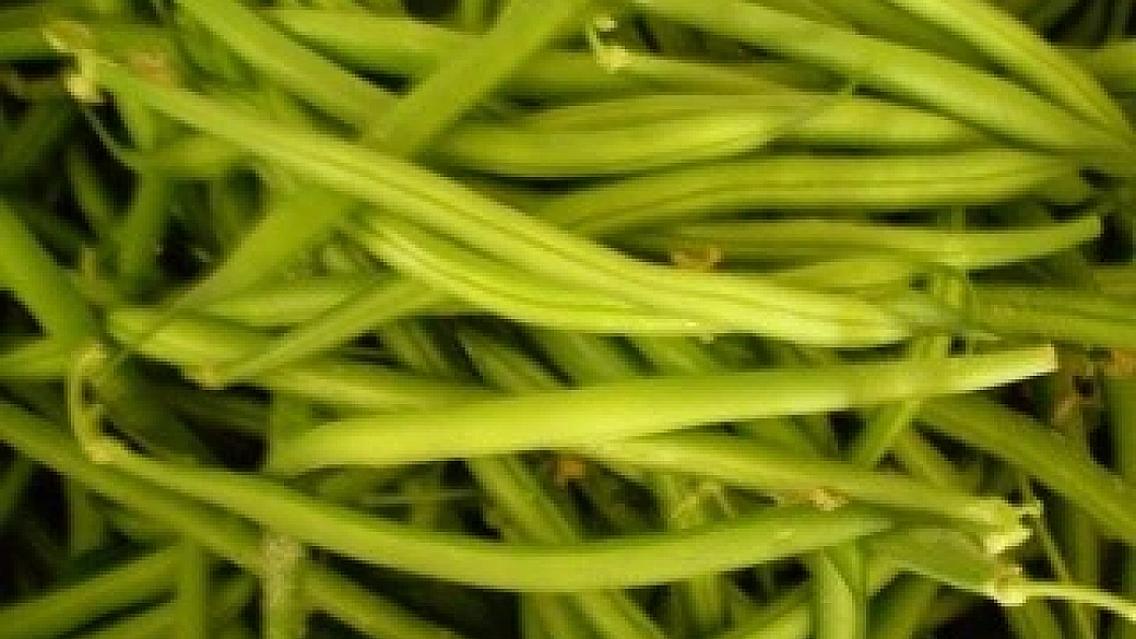 insalata spagnola di fagiolini