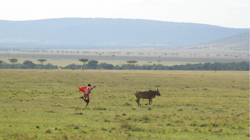 il kenya che stupisce