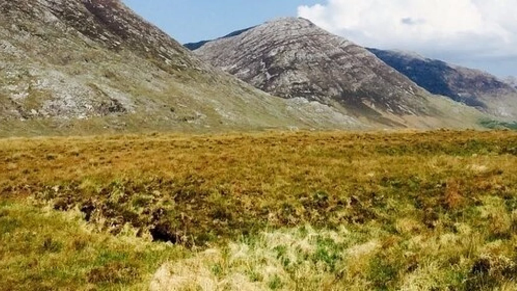 cento sfumature di verde