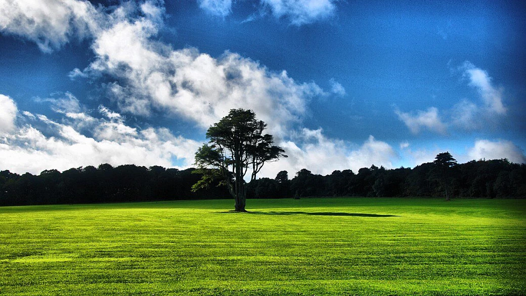 le esilaranti peripezie irlandesi di erika&guido