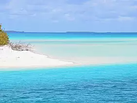 isola-dei-pini-c6yja