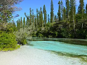 isola-dei-pini-jb4hz