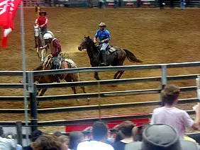 isola-dei-pini-vr8gb