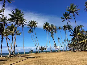 isola-dei-pini-vrsun