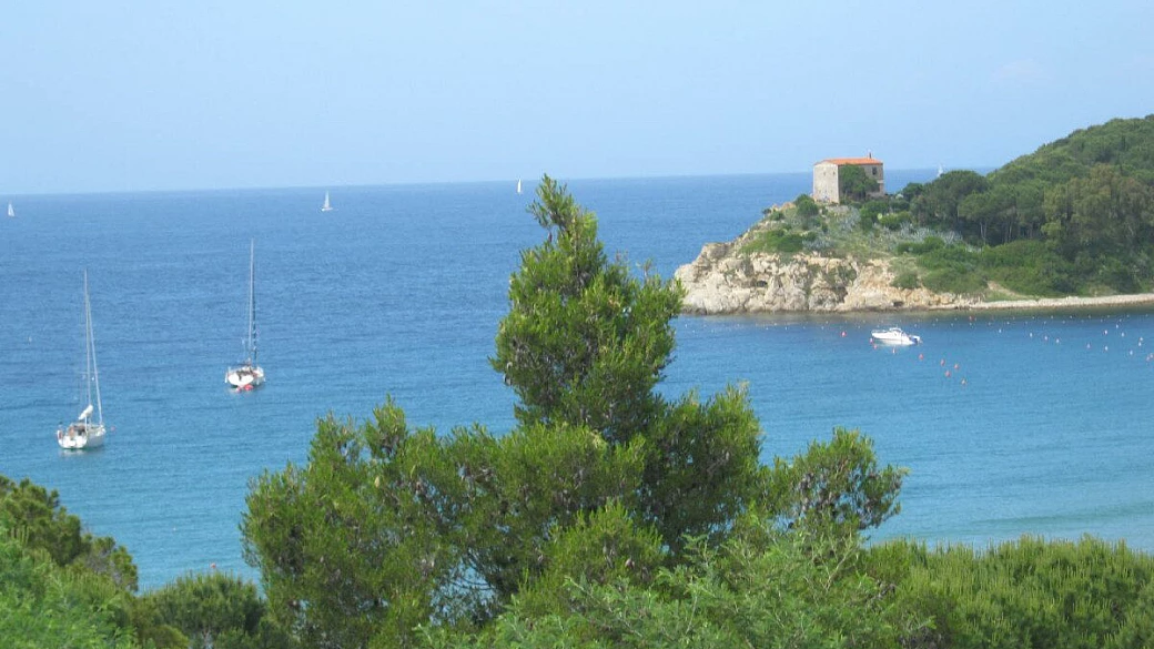 elba esplosione verde