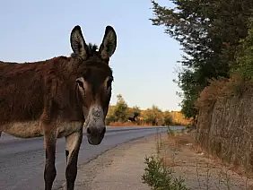 isola-di-lefkada-h1gfc