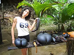 isola-di-praslin-uuhux