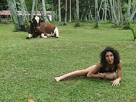 isola-di-praslin-xsby2