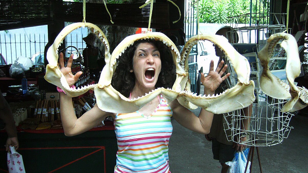 mahé, praslin, la digue
