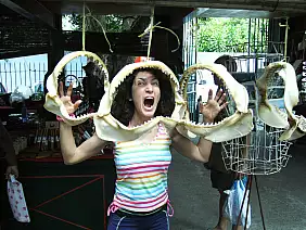 isola-di-praslin-yyr5d