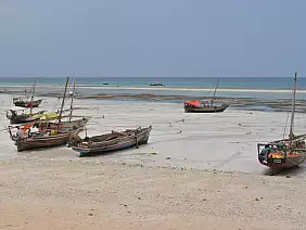 isola-di-zanzibar-2wt2y