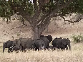 isola-di-zanzibar-6czwu