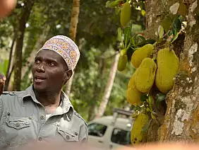 isola-di-zanzibar-etf9g