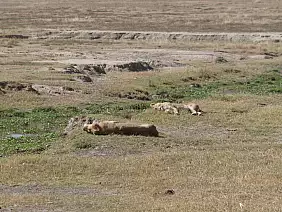 isola-di-zanzibar-thmn8