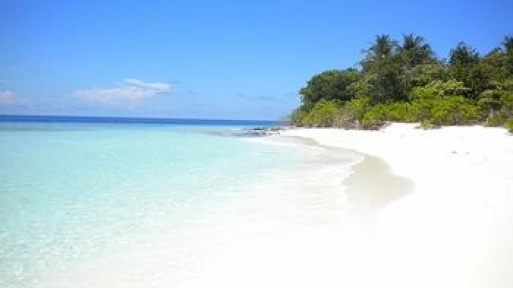 robinson crusoe ai tempi di internet