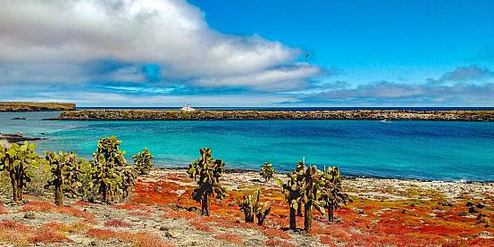 isole-galapagos-24m99