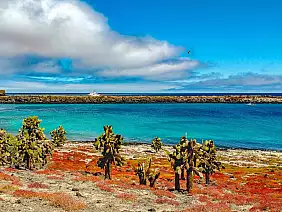 isole-galapagos-24m99