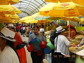 isole-galapagos-29bvb