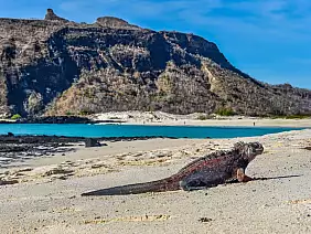 isole-galapagos-7cpb5