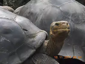 isole-galapagos-de7wa