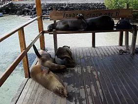 isole-galapagos-nk9yf