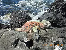 isole-galapagos-zmw1s