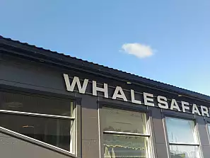 whalesafari ... a terra 4