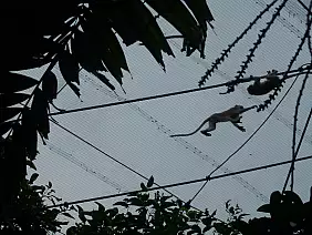 isole-perhentian-18f4n