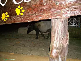 isole-perhentian-5fczj