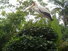 isole-perhentian-fgkjr