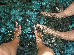 isole-perhentian-p16yh