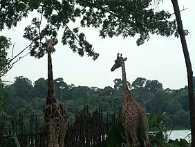 isole-perhentian-sghrd