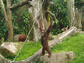 isole-perhentian-tbr3s