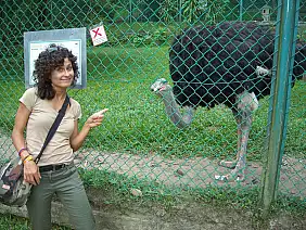 isole-perhentian-x2t43