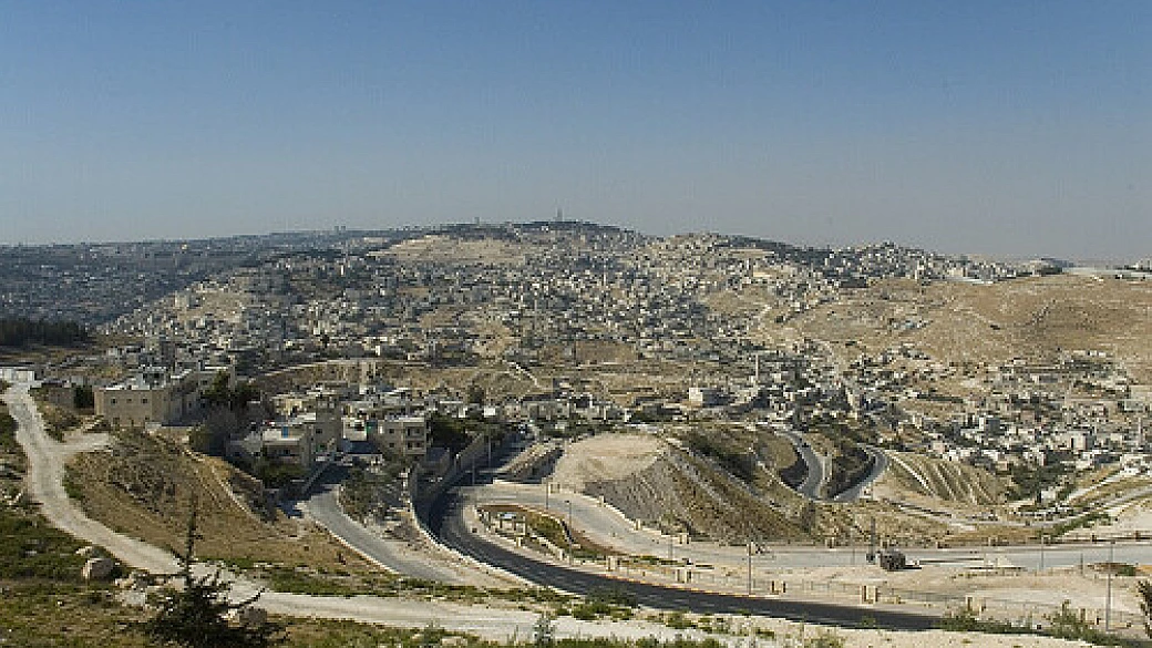 alla ricerca delle nostre radici