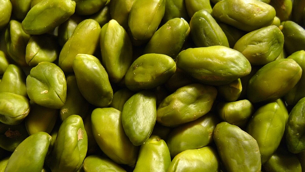 i pistacchi di sabina