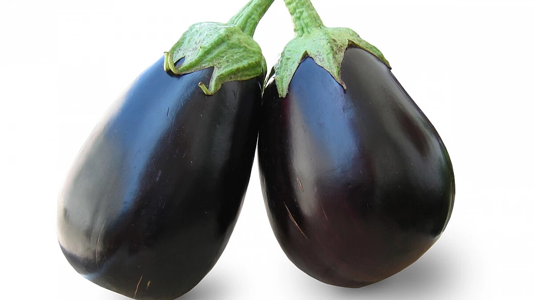 melanzane in carrozza