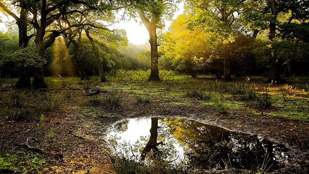 una nuova oasi per te!