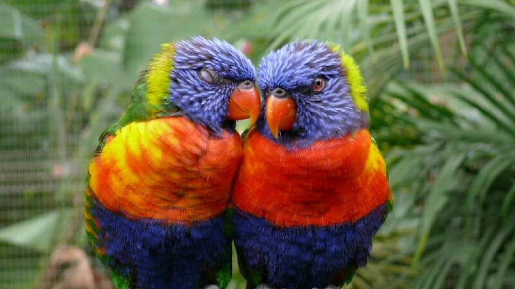 non c'è due senza tre