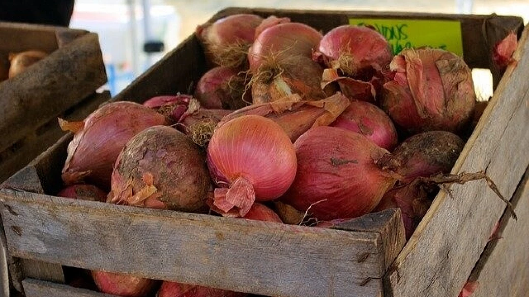 marmellata di cipolle rosse di tropea
