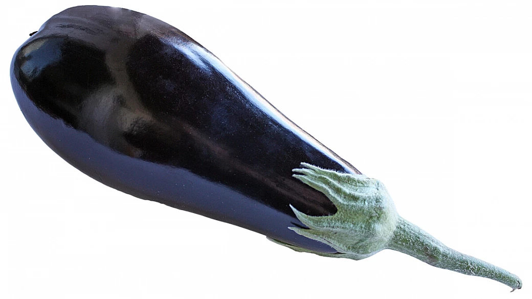 involtini di melanzane