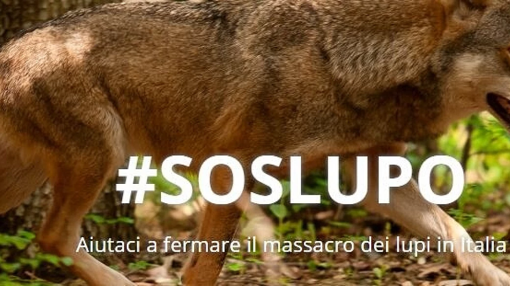 giornata delle oasi wwf: una festa della biodiversità… e non solo