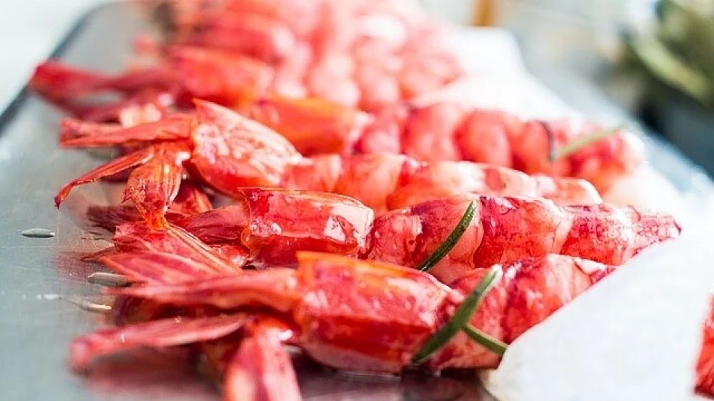 gambero rosso tropicale