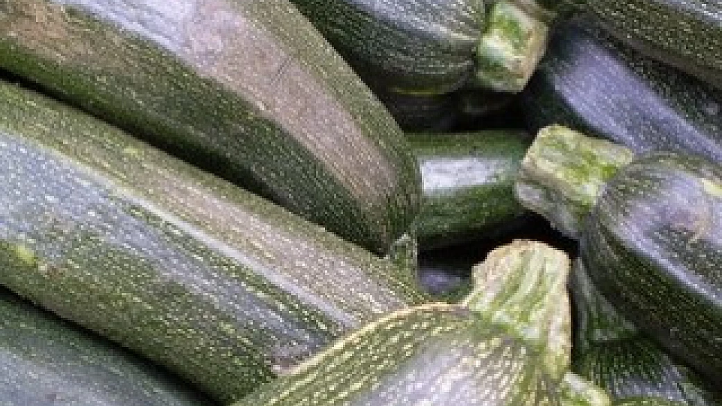 carpaccio di zucchine