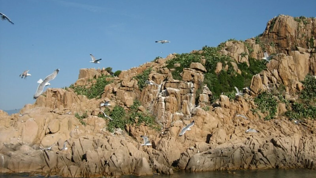 incontaminata sardegna